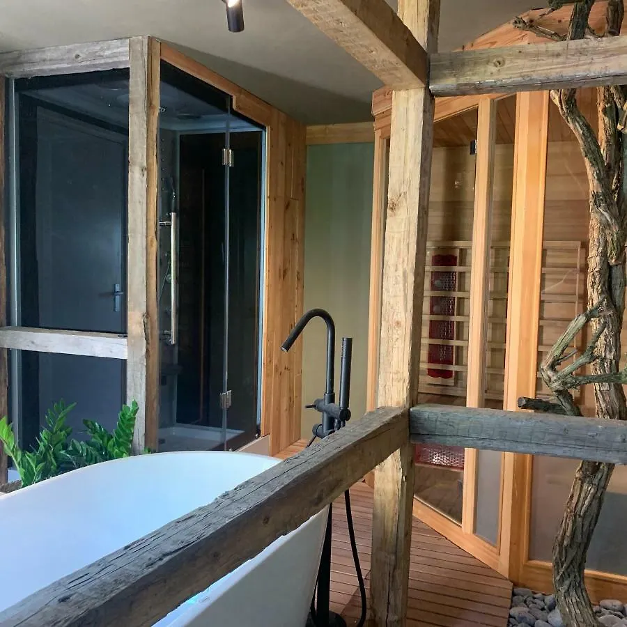 Holiday home Wieler Wellness Huuske With Private Sauna Spaubeek
